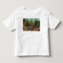 Search for sterling postcards States