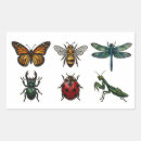 Search for bug stickers Dragonfly