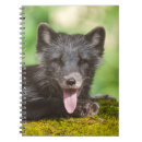 Search for fox notebooks Arctic