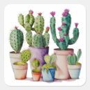 Search for cactus flower stickers Desert plants