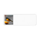 Search for oriole return address labels Orange