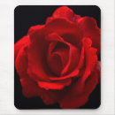 Search for rosa mousepads Black