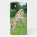 Search for cute horse iphone cases Pony