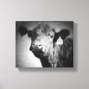 Search for bovin art Livestock