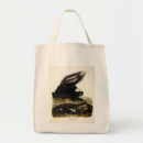 Search for commons bags Illustration