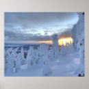 Search for whitefish posters Resort