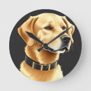 Search for golden retriever clocks Illustration