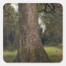 Search for elm stickers Tree