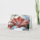 Search for plant christmas cards Cactus