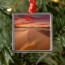 Search for dune christmas tree decorations Nature