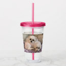 Search for dog tumblers Cute