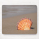 Search for pictures of shells mousepads Beach