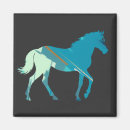 Search for digital horse magnets Animal