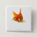 Search for sealife badges Full length
