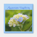 Search for hydrangea magnets Nature