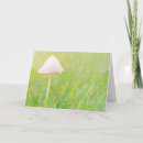 Search for mushroom birthday cards Woodland