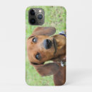 Search for alert iphone cases Curious