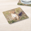 Search for cub coasters Africa