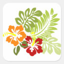 Search for hawaii flower stickers Red