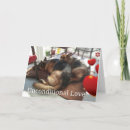 Search for unconditional love cards Dog