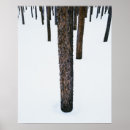 Search for tree trunks posters Nobody