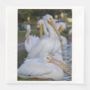 Search for pelican napkins Florida