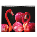 Search for flamingo calendars Tropical