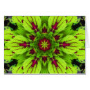 Search for coleus postcards Green