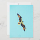 Search for big bird invitations Blue