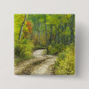 Search for autumn colours badges Solitude