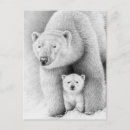 Search for bear kid postcards Animal