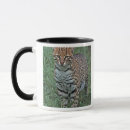 Search for ocelots mugs Wildlife