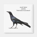 Search for mexican magnets Wildlife