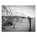 Search for black and white beach posters Florida