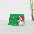 Search for lol christmas cards Funny