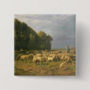 Search for flocking badges Shepherd