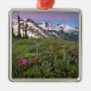 Search for washington christmas tree decorations Shuksan