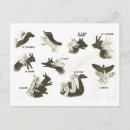 Search for puppets postcards Retro