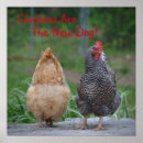 Search for chicken decor posters Farm