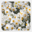 Search for skagit valley stickers Judy wild
