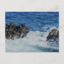 Search for cayman islands postcards Coral