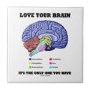 Search for brain coasters Geek
