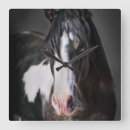 Search for western horse clocks Photography