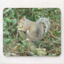 Search for acorns mousepads Cute