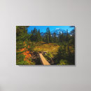 Search for spray canvas prints Mountain