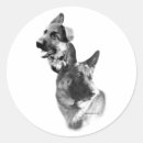 Search for deutscher schaferhund stickers Dog