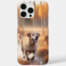 Search for hunting dog iphone cases Animal