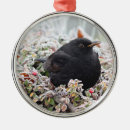 Search for blackbird christmas tree decorations Animal