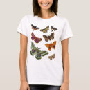 Search for moth tshirts Antique