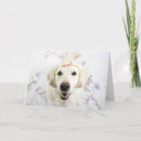Search for english cream golden retriever Celebration